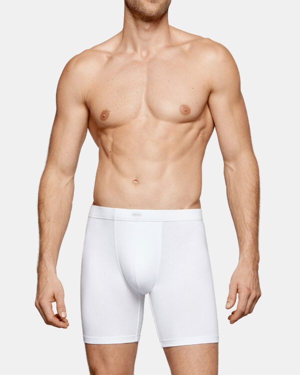 Men's boxer Cotton Modal