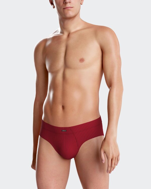 2 pack briefs Align